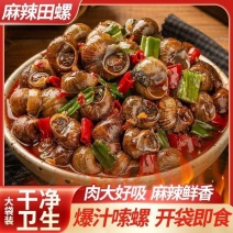 麻辣田螺螺蛳开袋即食摆摊烧烤龙虾大排档必点