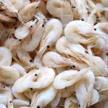 小河虾