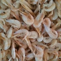 小河虾（水煮）