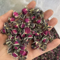 金边玫瑰大货批发一手货源