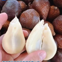蛇皮果