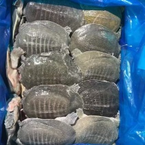 7-8两的，8-9的，0.9-1.1的麻辣小甲鱼