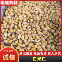 中药材白果仁，质量为先，量大从优，欢迎电话咨询