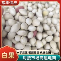 中药材白果，银杏果，质量保证，量大从优欢迎来电咨询