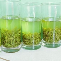 汉中绿茶