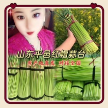 蒜苔平邑红帽蒜苔，沂蒙山蒜苔产地发货小工打包一条龙服务可