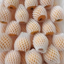 枇杷