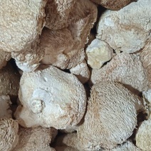 猴头菇天然珍品健康美味药食两用可搭配多种药材批发无硫安全