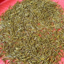 黄金芽，奶白茶家里面自己种植的量比较少，便宜售卖了便宜售卖了