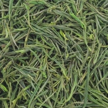 安吉白茶遂昌白茶毛峰茶大量供应可视频看货一手货源
