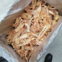 笋干片全干笋干片楼梯笋干片易泡发厂家直供批发电商团购