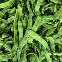精品四季豆油豆