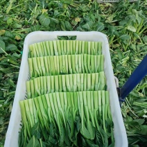 新鲜菜心