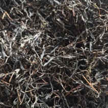千年古树普洱茶可批发可零售对接线下市场和电商