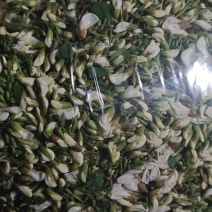 洋槐花