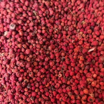 火棘果