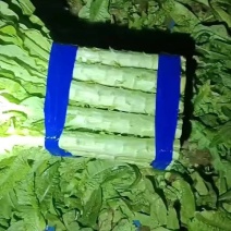 【商超品质】红叶莴笋量大质优长期供应可视频看货