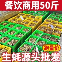 江苏生蚝产地直发，一件起批，对接商超市场电商社区团购电联
