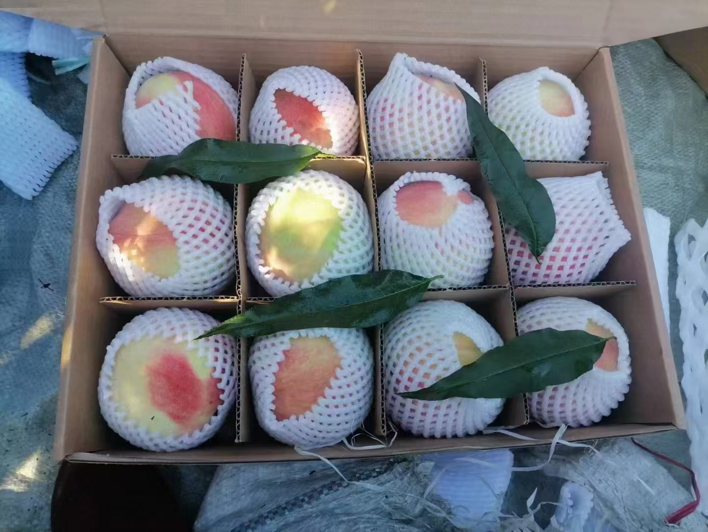 贵妃红桃礼盒包装展示