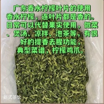 批发香水柠檬叶干丝柠檬茶