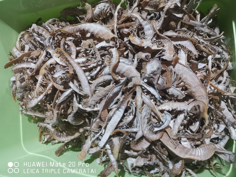 浙江丽水松阳县笋干 50.00元/斤笋干