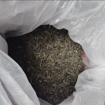 茶叶品质保证服务周到产地直发价格美丽