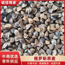 俄罗斯荞麦甜荞麦大量有货一手货源量大从优欢迎咨询
