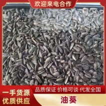 葵花油葵产地直发一手货源量大从优可视频看货欢迎咨询
