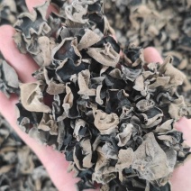 东北黑木耳干货批发小碗耳秋木耳干货摆摊电商一件代发高泡发