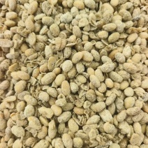 益生菌发酵大豆颗颗都是纯粮食。厂家直销