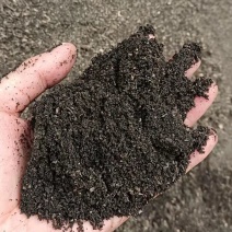 草碳土，泥炭土，种花，绿化专用肥，