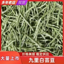 临沂市莒南九里白芸豆大量上市可视频看货欢迎咨询