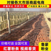 【推荐】精品红薯粉条货源充足量大从优质量保证厂家发货