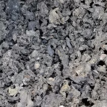 地皮菜（地软）干地皮菜，产地直供一手货源，欢迎咨询
