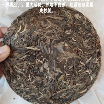 勐海县布朗山普洱茶大树混采乔木货源充足