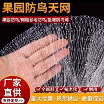 综丝尼龙材质25线防鸟网各种规格批发零售欢迎新老