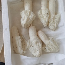 基地直发，每天现采，常年有货，红托竹荪花，竹荪蛋