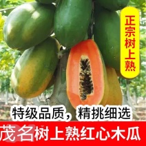优品[红心冰糖木瓜]产地直采，大量对接电商，市场，商超