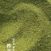 猫爪。猫爪草种子