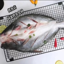 开背巴沙鱼（蒜香味）