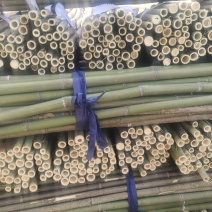 批发江西菜架竹，竹竿，竹子，小山竹，毛竹