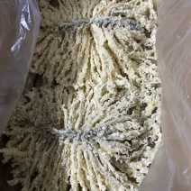 金毛狮子鱼河北代表菜厂家直销