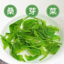 新鲜桑叶，可食用桑叶芽，上汤，火锅，清炒