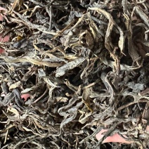 普洱茶