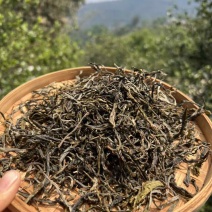 普洱茶生茶