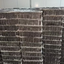 海蜇头海蜇皮
