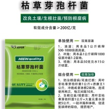 枯草芽孢杆菌对根腐病灰霉病重茬等土传病害效果显著