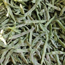 一点红油豆紫花豆货源充足量大从优品质保证欢迎联系