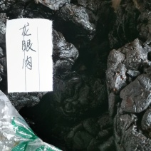 龙眼肉