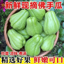 云南现摘新鲜佛手瓜批发窝瓜洋瓜当季农家蔬菜丝瓜自种寿瓜